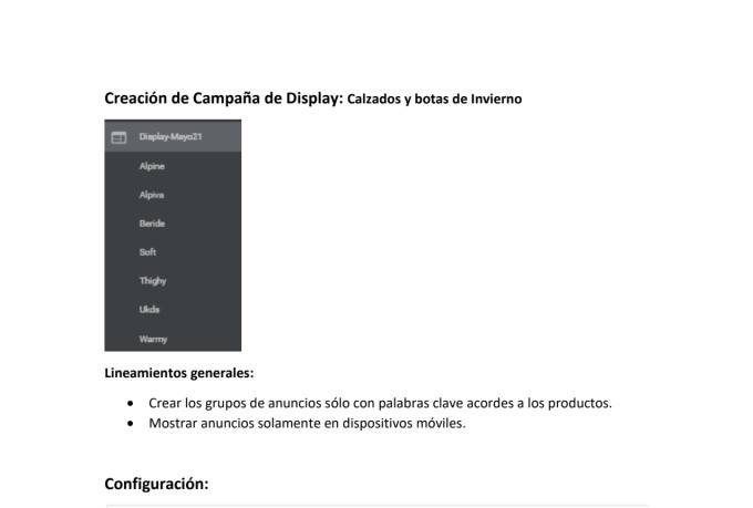 setup your google ads adwords PPC campaigns in spanish